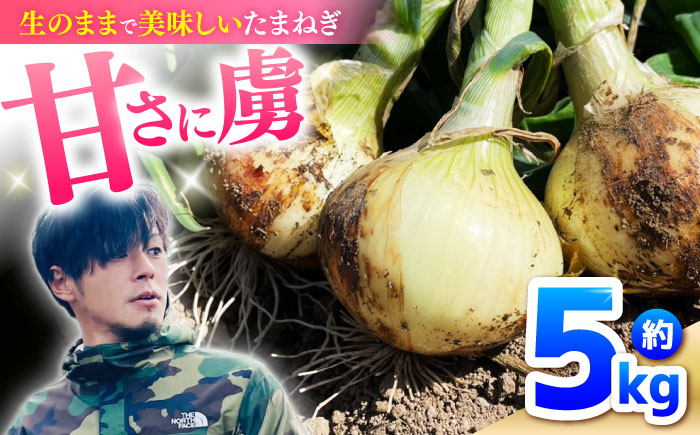 たまねぎ 5kg / タマネギ 玉葱 玉ねぎ 野菜 やさい カレー シチュー バーベキュー スープ サラダ / 南島原市 / 城谷農園 [SGV001]