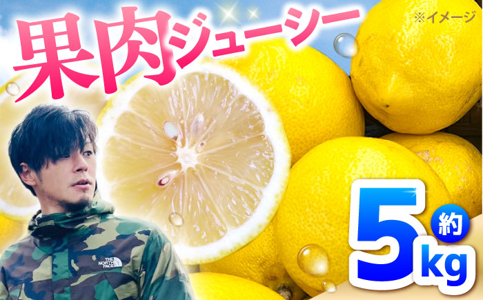 レモン 5kg 国産 希少 / れもん 檸檬 柑橘 フルーツ ふるーつ 果物 くだもの / 南島原市 / 城谷農園 [SGV002]