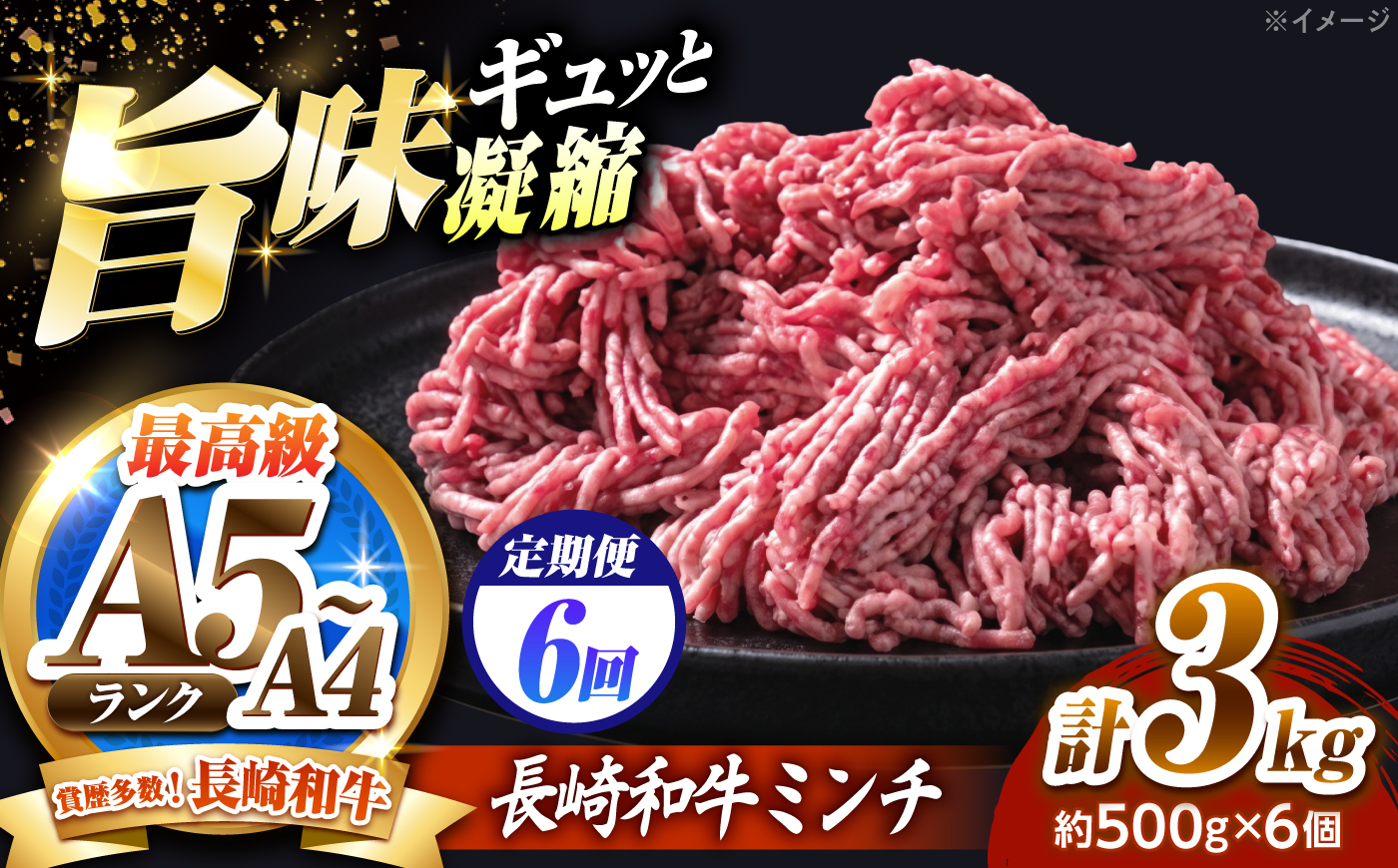 【6回定期便】長崎和牛ミンチ 3kg（500g×6）/ 小分け ミンチ 挽き肉 ひき肉 牛肉 ハンバーグ 個包装 / 南島原市 KRAZY MEAT [SHF059]
