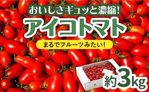[完熟ミニトマト]アイコトマト 約3kg / とまと トマト ミニトマト 野菜 やさい / 南島原市 / 長崎県農産品流通合同会社 