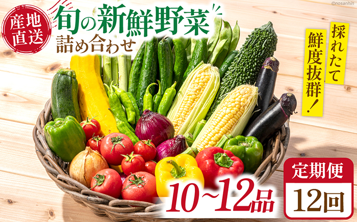【12回定期便】毎月連続お届け 旬の新鮮 野菜詰め合わせセット（10品～12品）/ 野菜定期便 やさい定期便 野菜セット やさいセット 春野菜 夏野菜 秋野菜 冬野菜 旬 新鮮 / 南島原市 /長崎県農産品流通合同会社[SCB097]