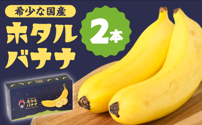 [とても希少な国産バナナをあなたへ!]hotaru バナナ 2本 