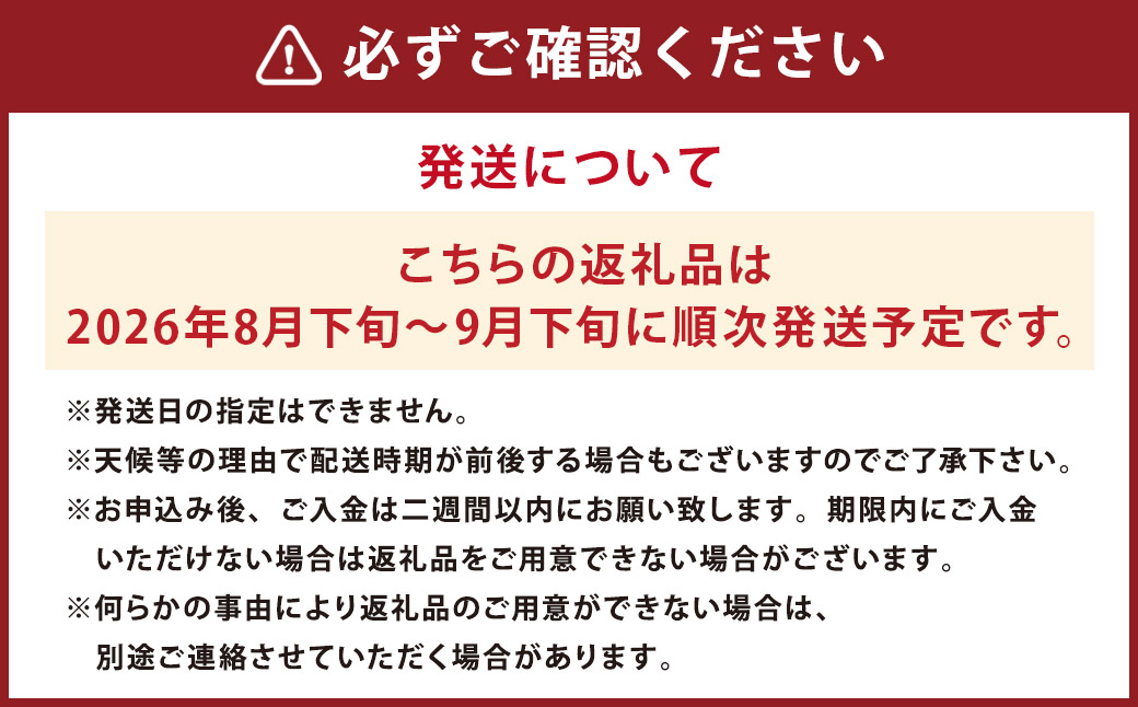 長崎県産 シャインマスカット 約1.5kg ぶどう フルーツ【2026年8月下旬-9月下旬迄順次発送予定】