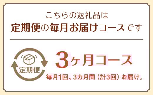 【定期便 3ヶ月コース】 野菜のプロ40年が届けるこだわり野菜セット！ 7～8品目