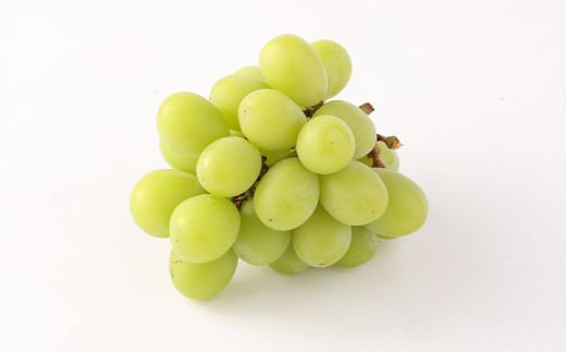 訳あり ご家庭用 シャインマスカット 3パック 約1kg