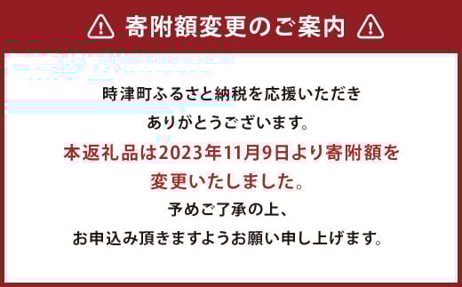 長崎県産 本マグロ「赤身」約500g