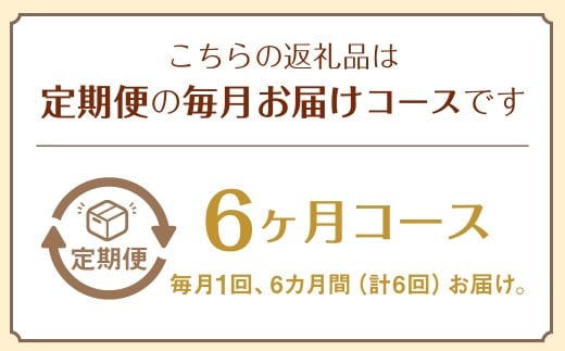 【定期便 6ヶ月コース】野菜のプロ40年が届けるこだわり野菜セット！ 7～8品目