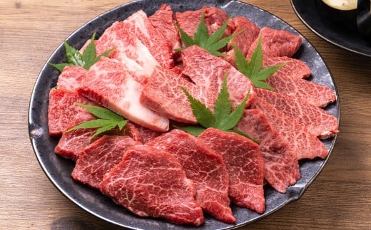 【訳あり】【A4～A5】 長崎和牛 赤身 モモ焼肉用 約500g