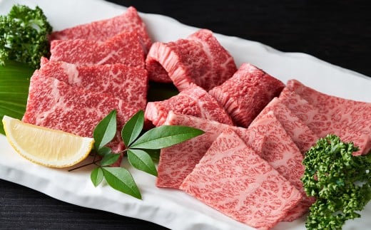 【訳あり】【A4～A5】 長崎和牛 焼肉切り落とし （肩ロース・バラ） 約500g