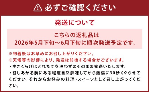 国産 生きくらげ 1kg（ご家庭用）