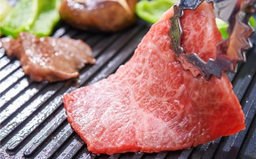 【訳あり】【A4～A5】 長崎和牛 赤身 モモ焼肉用 約500g