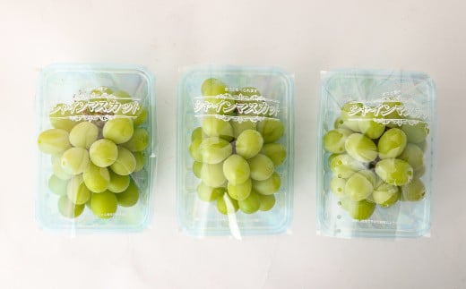 訳あり ご家庭用 シャインマスカット 3パック 約1kg