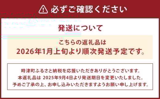 野菜のプロ40年が届ける こだわり野菜セット！ 7～8品目 詰め合わせ