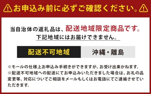 【伝統に育まれた本場の長崎カステラ】 Aセット （個包装タイプ） （出島珈琲カステラ ／ カステラと檸檬 ／ カステラとあまおう苺 ／ スライスカステラハニー ／ スライスカステラ抹茶） カステラ 和菓子 菓子 お菓子 スイーツ デザート 個包装 セット 九州 長崎県 時津町 常温