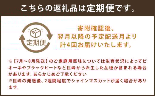 【定期便 4回コース】時津の果物定期便 みかんとぶどうの町から贈る 特産品の定期便
