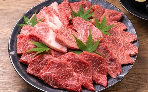 【訳あり】【A4～A5】 長崎和牛 焼肉切り落とし （肩ロース・バラ） 約500g