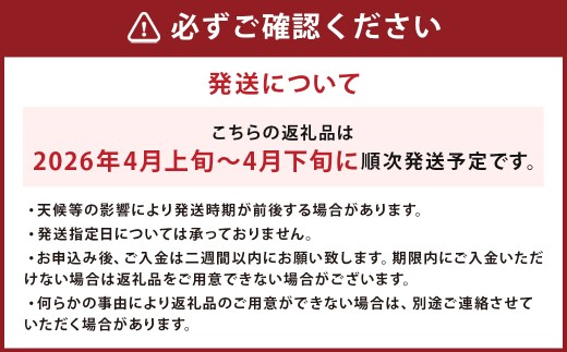 長崎 高級ハウスびわ 500g 化粧箱入り