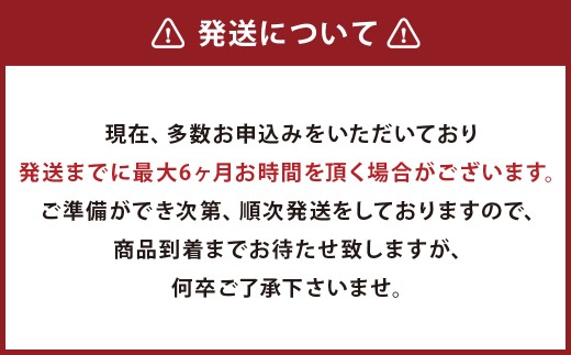 【訳あり】コナのおまかせパンセット(15個～20個)