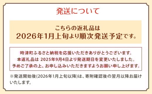【定期便 3ヶ月コース】 野菜のプロ40年が届けるこだわり野菜セット！ 7～8品目