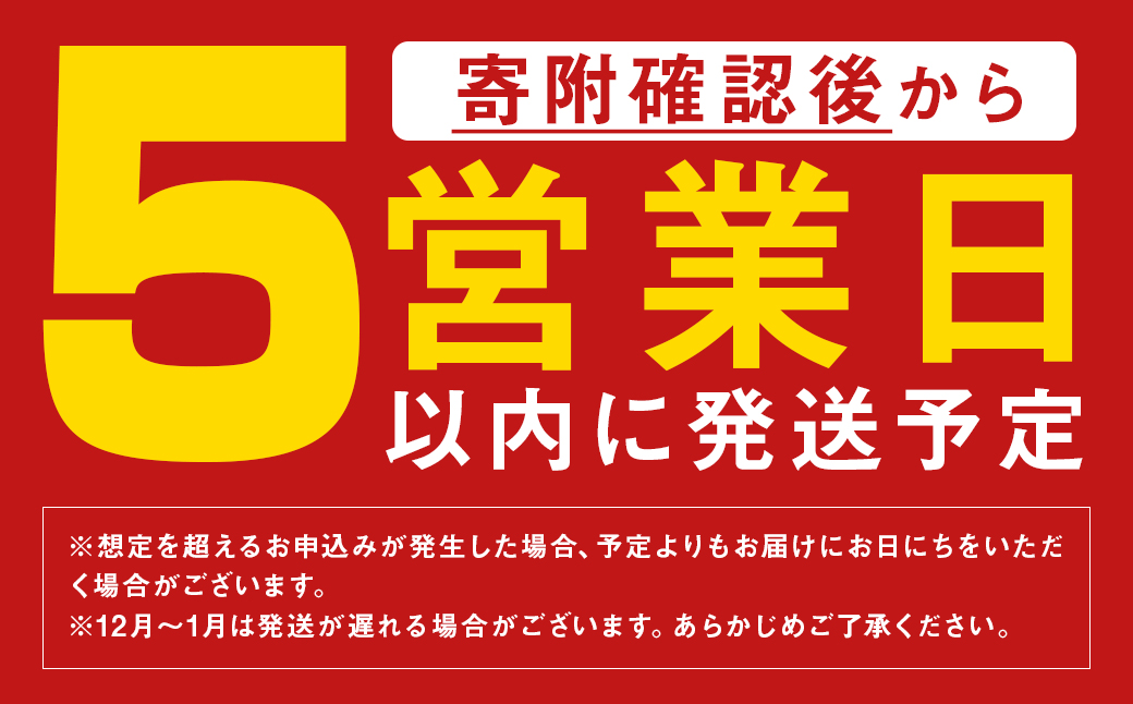 みろくや 具材付き 冷凍ちゃんぽん 詰合せ 4食分