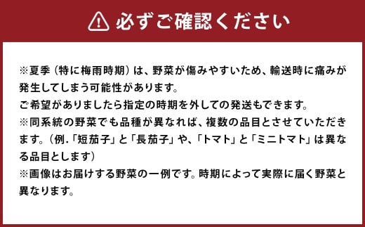 野菜のプロ40年が届ける こだわり野菜セット！ 7～8品目 詰め合わせ