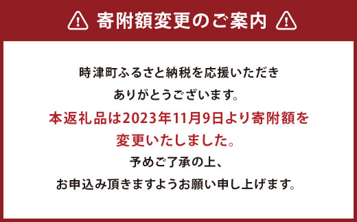 【3ヶ月定期便】長崎県産 本マグロ赤身 500g