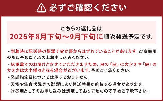 訳あり ご家庭用 シャインマスカット 3パック 約1kg
