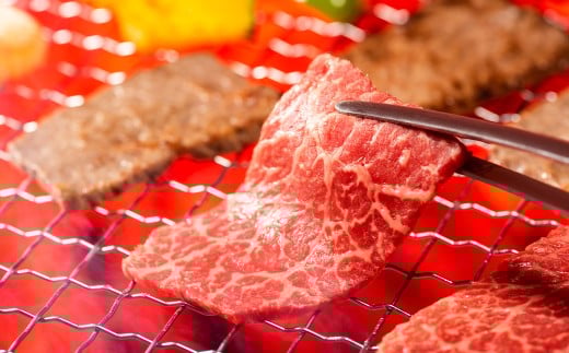 【訳あり】【A4～A5】 長崎和牛 赤身 モモ焼肉用 約500g