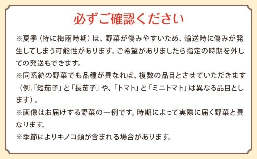 【定期便 毎月コース】 野菜のプロ40年が届けるこだわり野菜セット！ 7～8品目 詰め合わせ 【2026年1月上旬より発送開始】