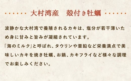 大村湾産 殻付き 小牡蠣 (加熱用) Cセット 4kg