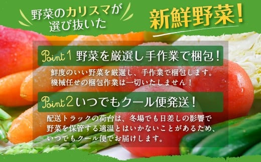 【定期便 奇数月コース】野菜のプロ40年が届けるこだわり野菜セット！ 7～8品目 詰め合わせ 【2026年1月上旬より発送開始】