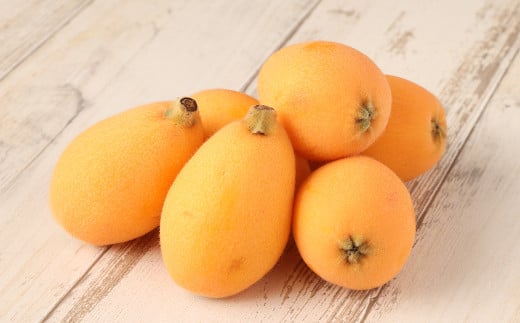 長崎 高級ハウスびわ 500g 化粧箱入り