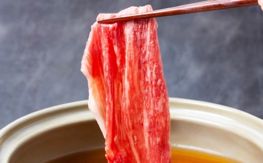 【年6回定期便】長崎和牛 トライアルコース