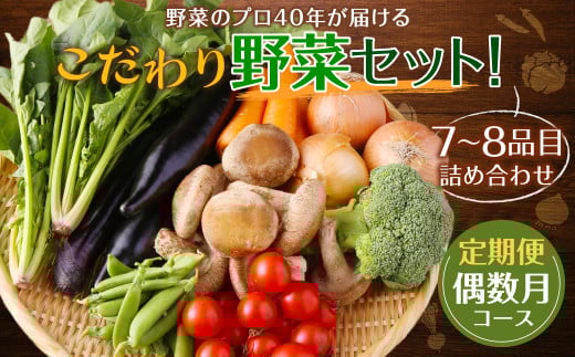 【定期便 偶数月コース】野菜のプロ40年が届けるこだわり野菜セット！ 7～8品目 詰め合わせ 【2026年2月上旬より発送開始】