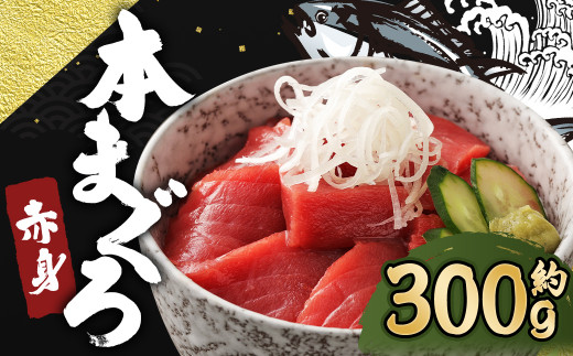 長崎県産 本マグロ赤身 300g 2人前～3人前