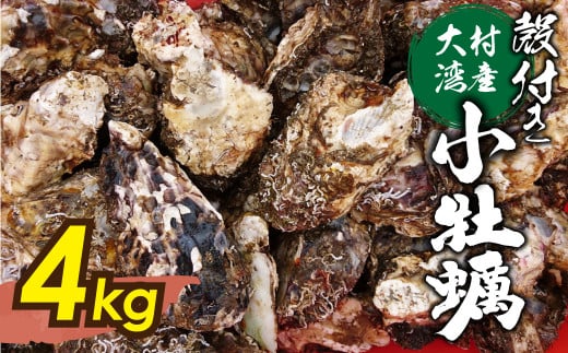 大村湾産 殻付き 小牡蠣 (加熱用) Cセット 4kg