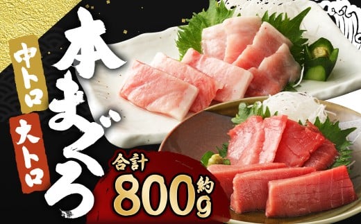【ふるさと納税】訳あり 長崎県産 本マグロ 大トロ・中トロセット 皮付き 部位おまかせ 計約800g お魚 魚 まぐろ マグロ 鮪 トロ 大トロ 中トロ 養殖 国産 冷凍 お刺身 刺し身 刺身 赤身 800g セット 詰め合わせ おまかせ
