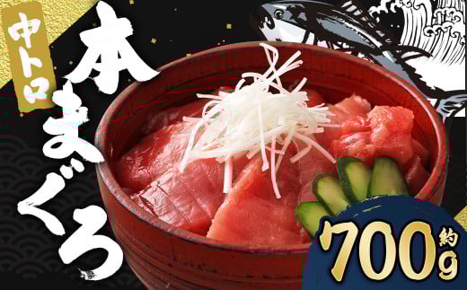 長崎県産 本マグロ「中トロ」約700g