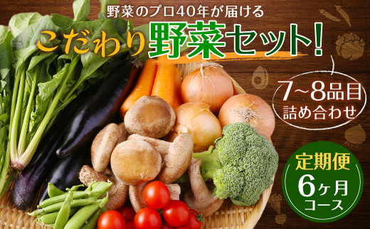 【定期便 6ヶ月コース】野菜のプロ40年が届けるこだわり野菜セット！ 7～8品目