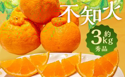 春の柑橘 不知火 約3kg 秀品