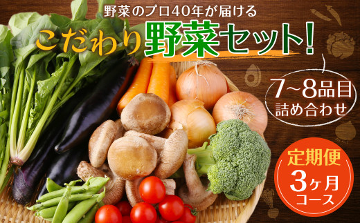 【定期便 3ヶ月コース】 野菜のプロ40年が届けるこだわり野菜セット！ 7～8品目