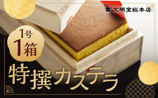 特撰カステラ 1号