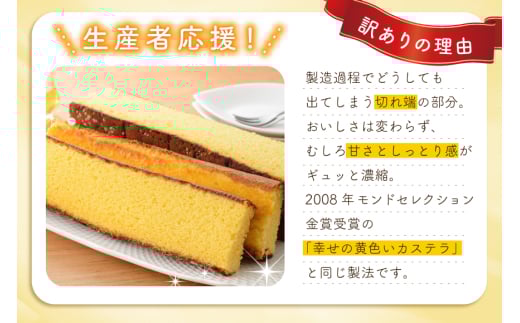 カステラ 訳あり 切り落とし 個包装 幸せのカステラ個包装 38g 2種 プレーン 抹茶 各5個 カステラ 切り落とし 1パック 250g 計630g [長崎カステラセンター心泉堂 長崎県 東彼杵町 hs42bag180048] 和菓子 かすてら 長崎 お菓子 おやつ