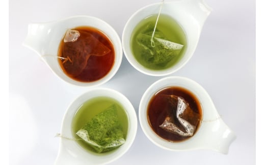 茶 緑茶 【簡単手軽に楽しめる】そのぎ茶ティーバッグ詰合せ そのぎ茶特上ティーバッグ80g そのぎ茶並参ティーバッグ45g そのぎほうじ茶45g そのぎ和紅茶40g 総計210g [まるせい酒井製茶 長崎県 東彼杵町 hs42bag370011] 茶 お茶