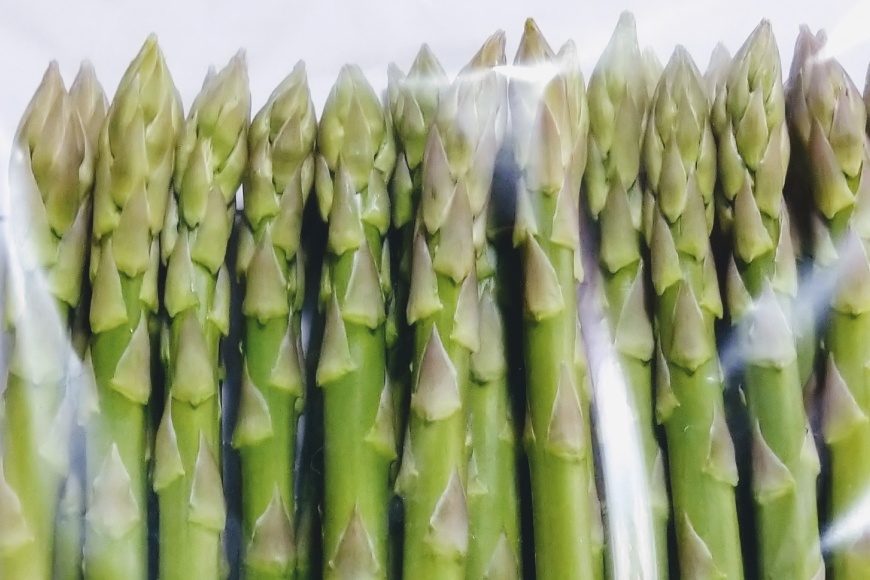 アスパラガス あすぱらがす 【農家直送】夏芽アスパラガス 1.5kg（L以上） [前平農園 長崎県 東彼杵町 hs42bag540003] アスパラガス アスパラ 野菜 やさい 新鮮 夏野菜 あすぱらがす あすぱら