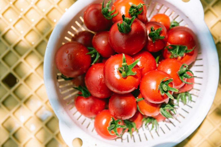 トマト ミニトマト 【お茶農家が作る】ミニトマト エコスイート 2.0kg [そのぎ茶深緑の里 長崎県 東彼杵町 hs42bag570000] トマト ミニトマト エコスイート 甘い