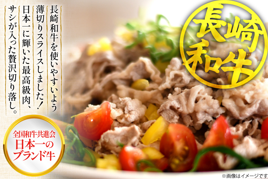 和牛 切り落とし 霜降り肉 定期便 長崎和牛 切り落し 500g 6回 総計3kg [大川ストアー 長崎県 東彼杵町 hs42bag580075] 赤身 すき焼き 肉 しゃぶしゃぶ 牛肉