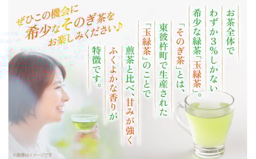 茶 お茶 緑茶 長崎 そのぎ茶 定期便 隔月 彼杵茶 玉緑茶 アルミボトル 490ml 24本 3回 総計72本 [彼杵の荘 長崎県 東彼杵町 hs42bag270021] 2か月に1回 ペットボトル 約 500ml 500