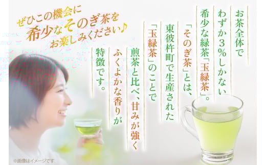 茶 お茶 緑茶 長崎 そのぎ茶 定期便 毎月 彼杵茶 玉緑茶 アルミボトル 290ml 24本 9回 総計72本 [彼杵の荘 長崎県 東彼杵町 hs42bag270022] 月に1回 ペットボトル 約 300ml 300