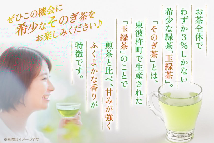 茶 お茶 緑茶 長崎 そのぎ茶 彼杵茶 玉緑茶 アルミボトル 490ml 24本 [彼杵の荘 長崎県 東彼杵町 hs42bag270046] ペットボトル 約 500ml 500